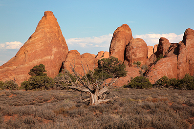 Landscape Photos : Richard Moore : Photographer